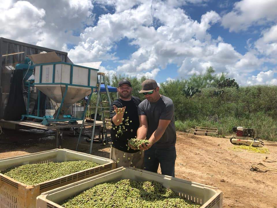 harvest1