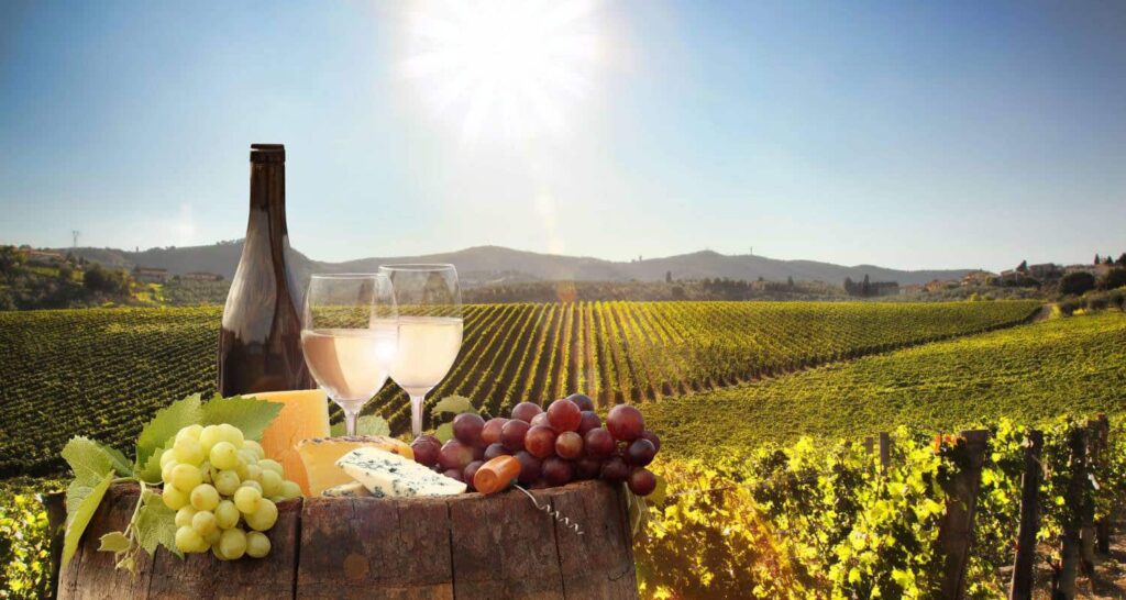 GourmetWineTours-Africa
