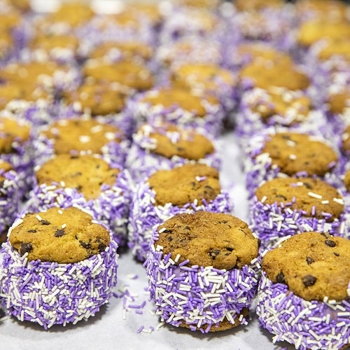 MiniSand-Huckleberry-3-min.jpg MiniSand-Huckleberry-3-min.jpg