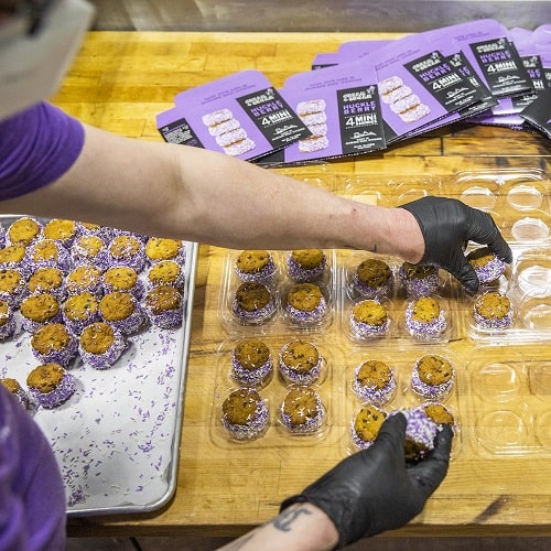 MiniSand-Huckleberry-5-min.jpg MiniSand-Huckleberry-5-min.jpg