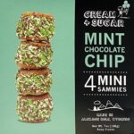 MiniSand-MintChocolateChip-2-min.jpg