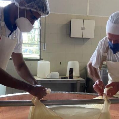 SX1R16-Parmigiano-Reggiano-Cheese-img3.jpg SX1R16-Parmigiano-Reggiano-Cheese-img3.jpg