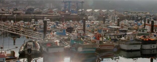Miz international Market
